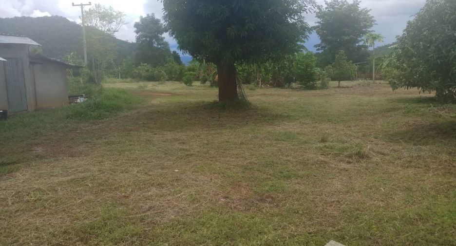 For sale land in Dan Chang, Suphan Buri