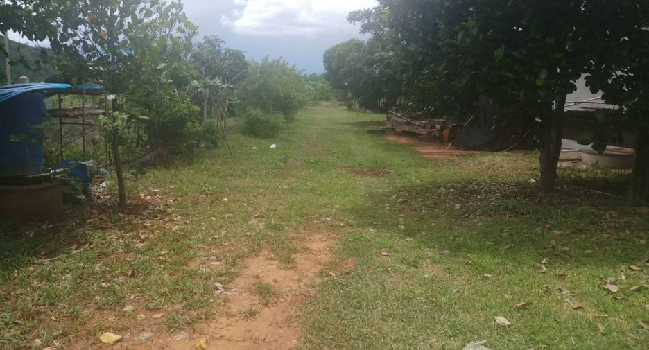 For sale land in Dan Chang, Suphan Buri