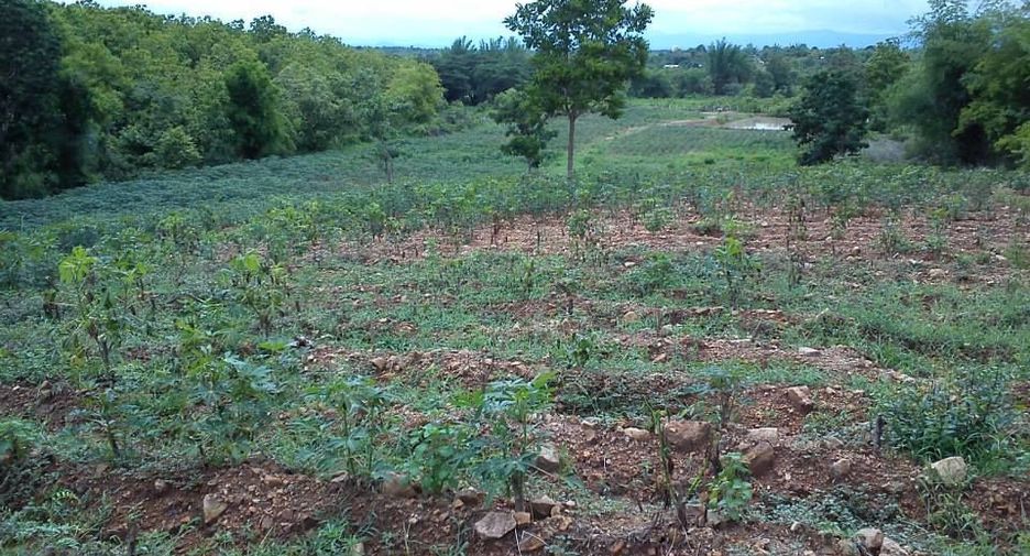 For sale land in Mueang Lampang, Lampang