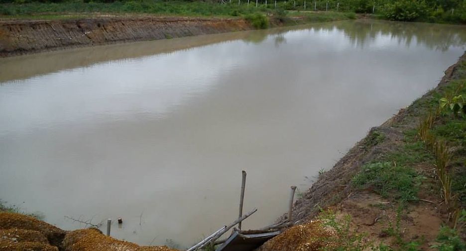 For sale land in Mueang Lampang, Lampang