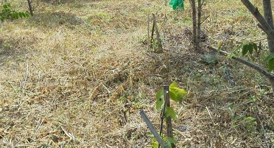 For sale land in Mueang Lampang, Lampang