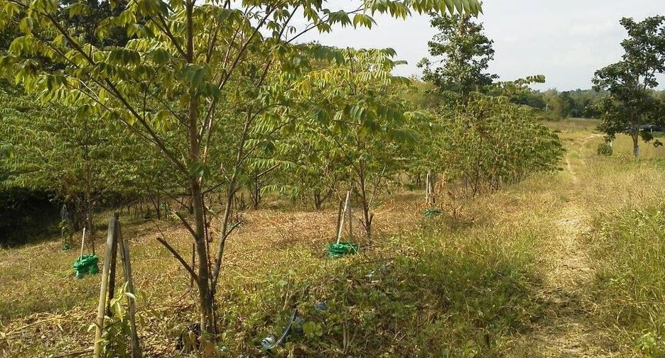 For sale land in Mueang Lampang, Lampang