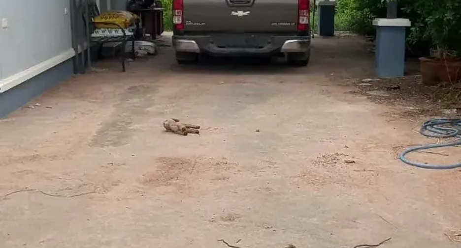 出售 2 卧室 独立屋 在 Mueang Surin, Surin