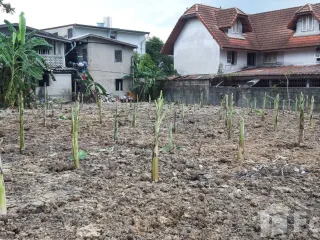 Продажа Участок в Банг Суе, Бангкок