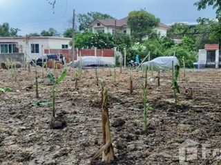 Продажа Участок в Банг Суе, Бангкок