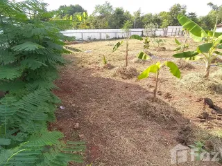 For sale land in Non Thai, Nakhon Ratchasima