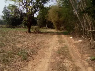 Grundstück zum Kauf in Sikhio, Nakhon Ratchasima
