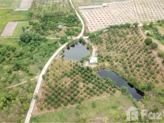 ขาย ที่ดิน ใน หนองหญ้าปล้อง, เพชรบุรี