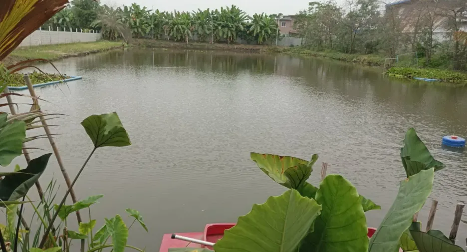 For sale 5 bedrooms house in Mueang Nakhon Sawan, Nakhon Sawan