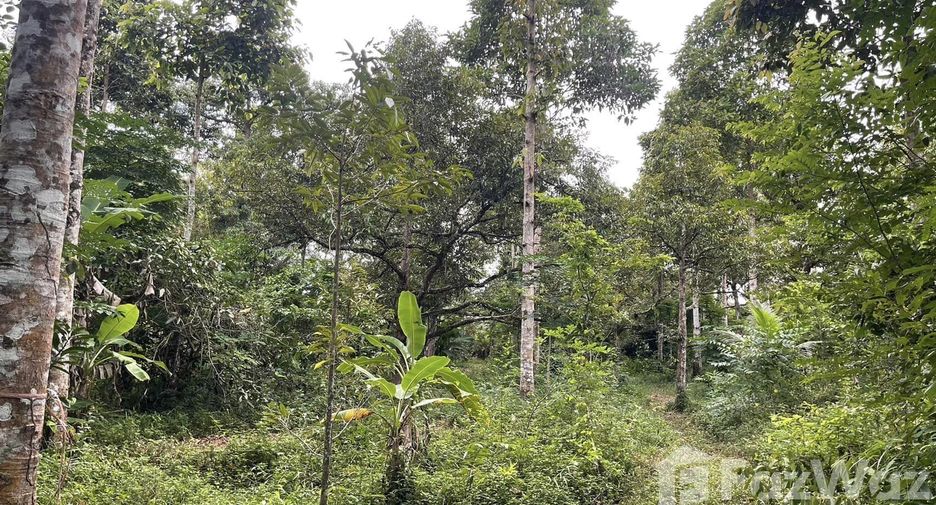 Terreno en venta en Tha Mai, Chanthaburi