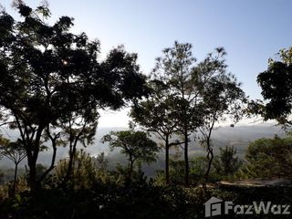 出售 土地 在 Phu Ruea, Loei