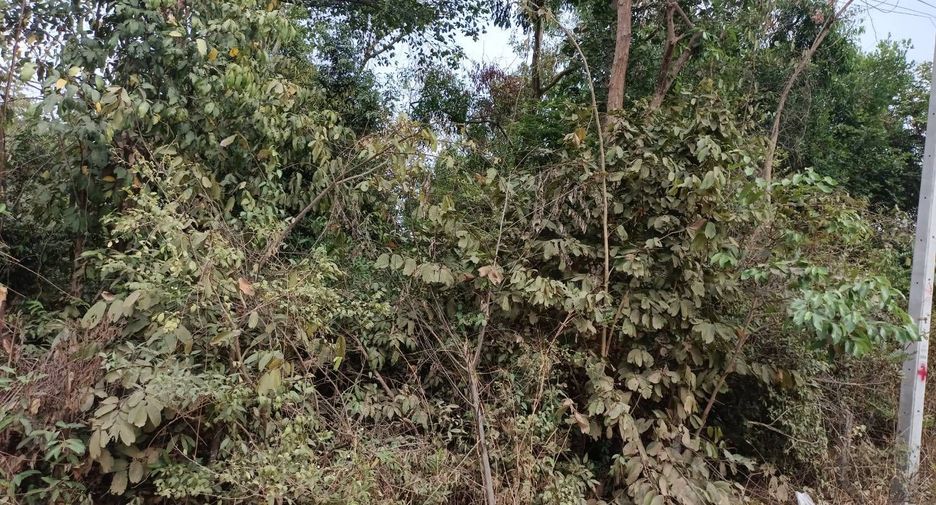 For sale land in Mueang Ubon Ratchathani, Ubon Ratchathani