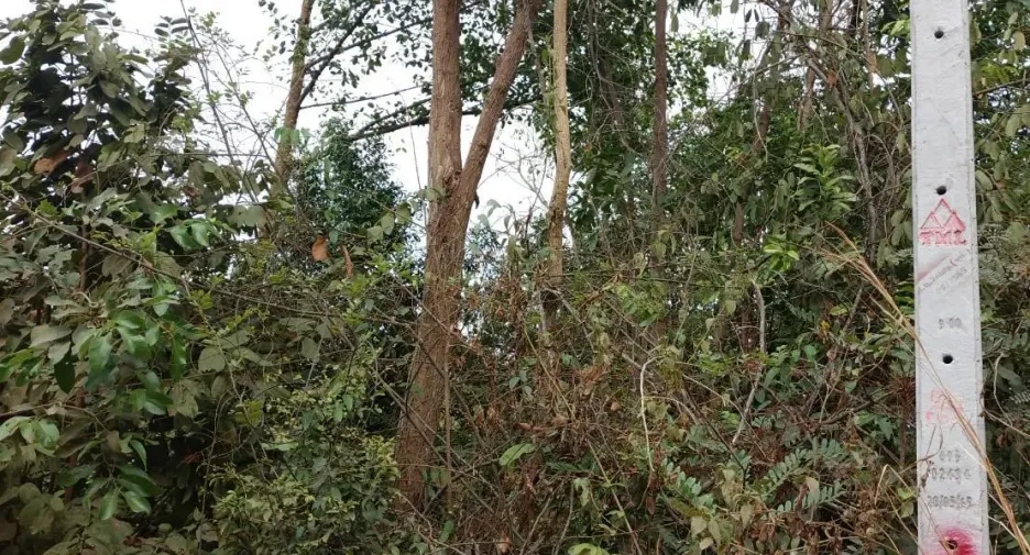 For sale land in Mueang Ubon Ratchathani, Ubon Ratchathani