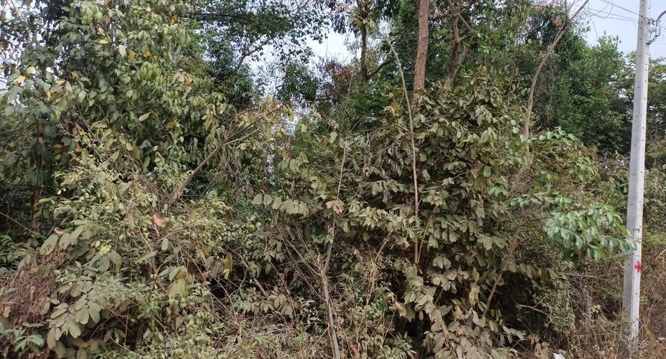 For sale land in Mueang Ubon Ratchathani, Ubon Ratchathani
