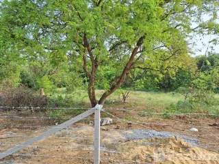 Grundstück zum Kauf in Mueang Nakhon Pathom, Nakhon Pathom