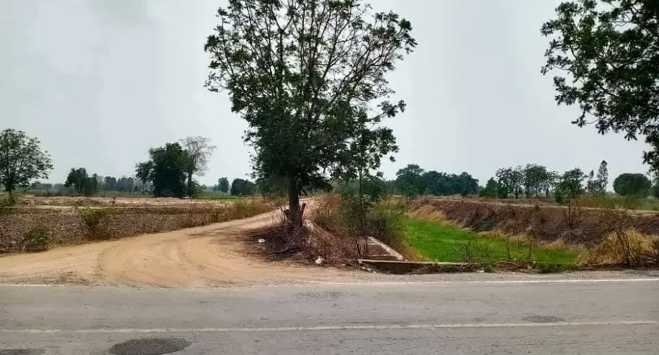 For sale land in Doem Bang Nang Buat, Suphan Buri