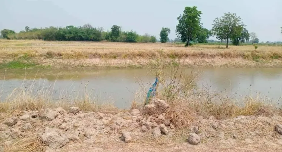 For sale land in Doem Bang Nang Buat, Suphan Buri