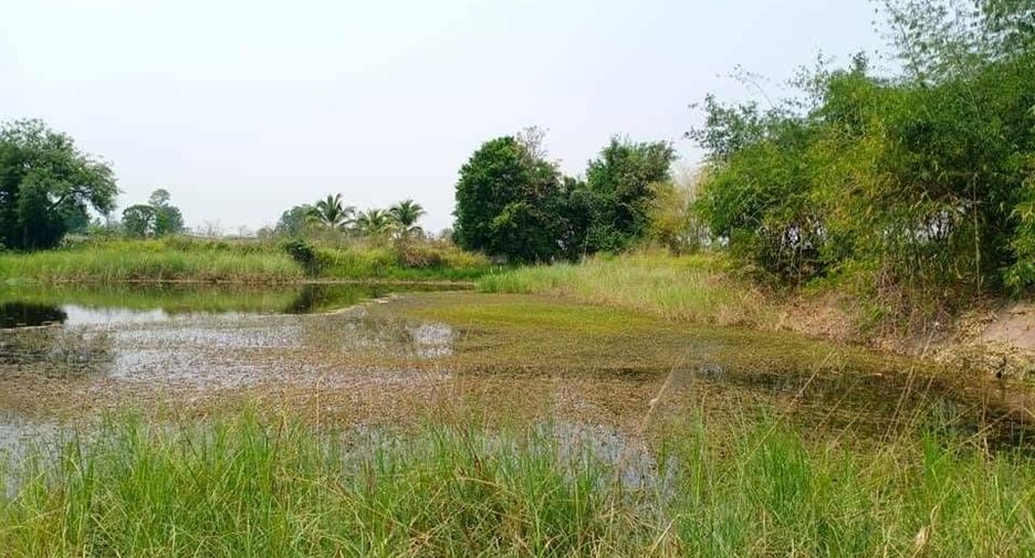 For sale land in Doem Bang Nang Buat, Suphan Buri
