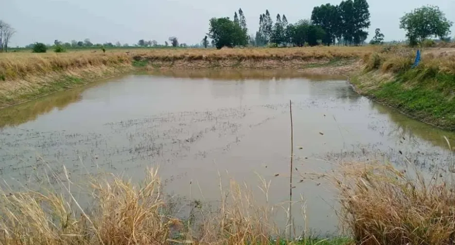 For sale land in Doem Bang Nang Buat, Suphan Buri
