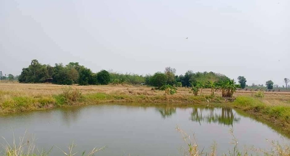 For sale land in Doem Bang Nang Buat, Suphan Buri