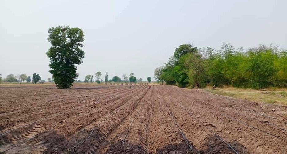 For sale land in Doem Bang Nang Buat, Suphan Buri