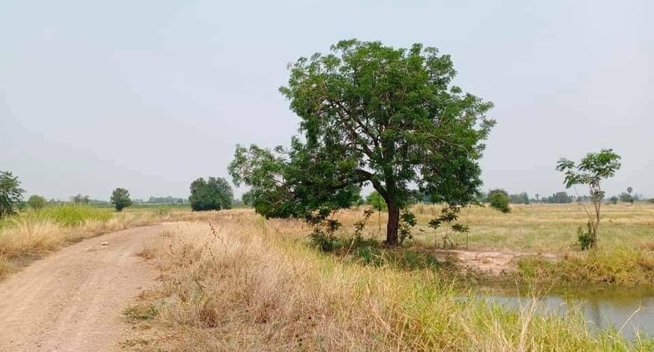 For sale land in Doem Bang Nang Buat, Suphan Buri