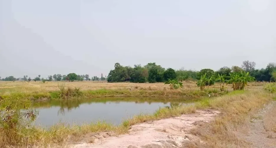 For sale land in Doem Bang Nang Buat, Suphan Buri