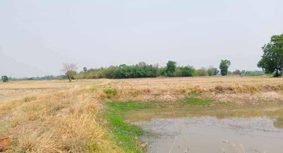 For sale land in Doem Bang Nang Buat, Suphan Buri