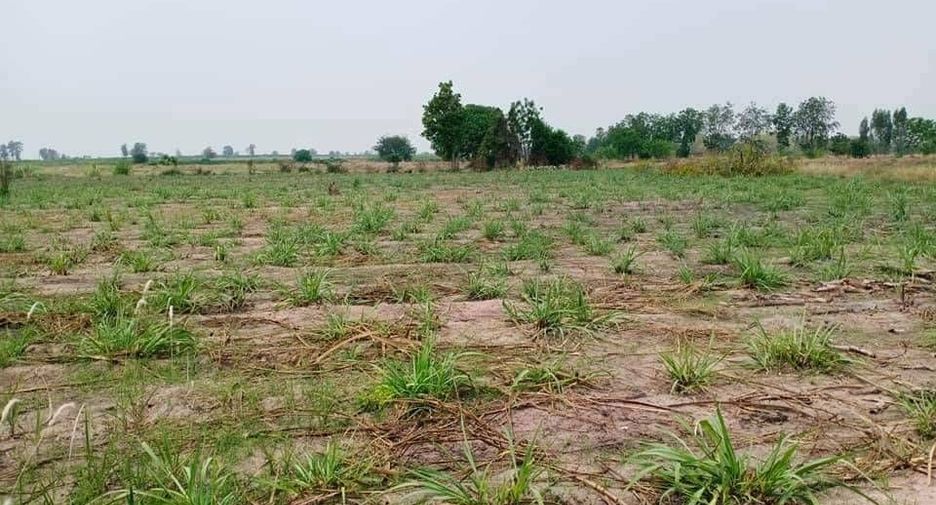 For sale land in Doem Bang Nang Buat, Suphan Buri