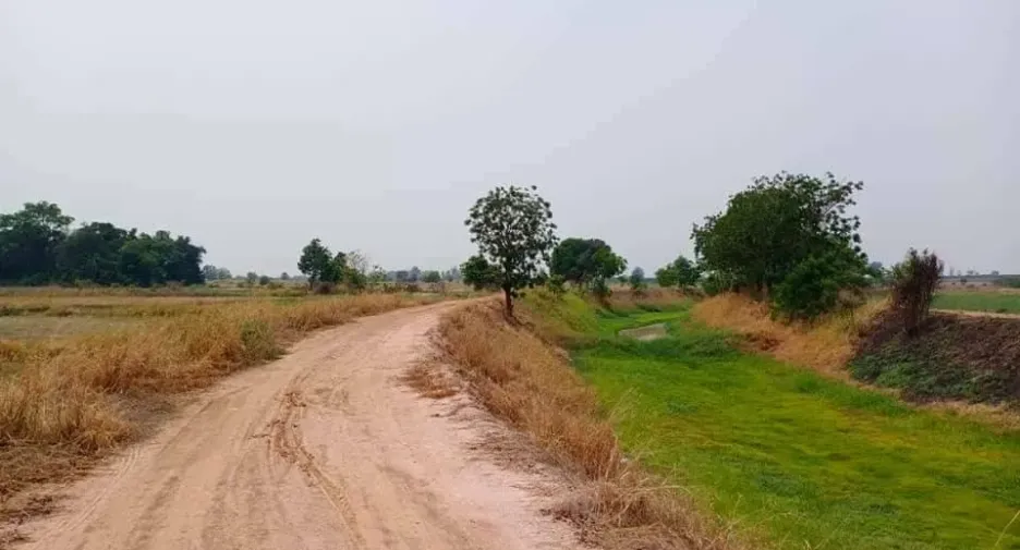 For sale land in Doem Bang Nang Buat, Suphan Buri
