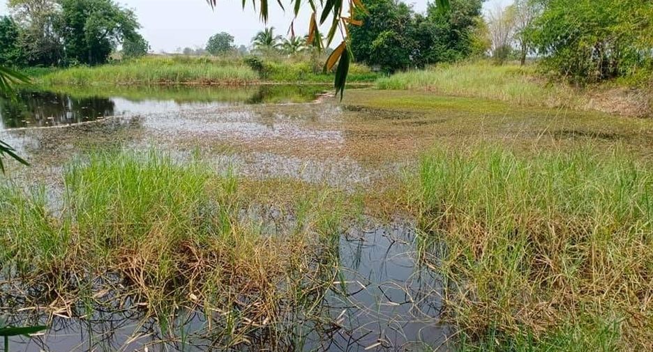 For sale land in Doem Bang Nang Buat, Suphan Buri