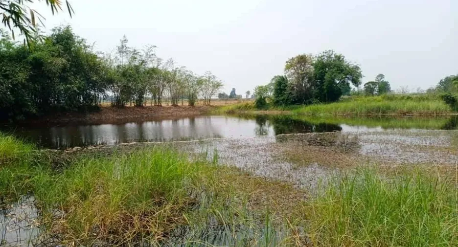 For sale land in Doem Bang Nang Buat, Suphan Buri
