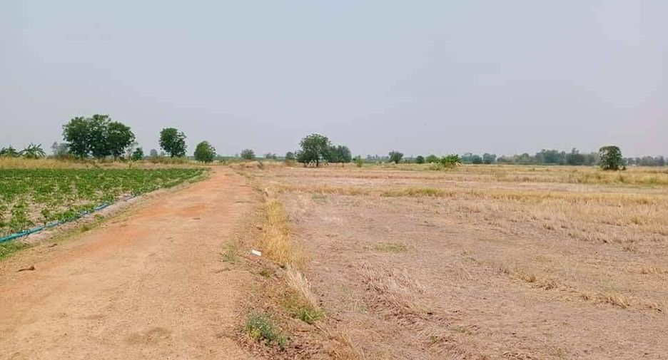 For sale land in Doem Bang Nang Buat, Suphan Buri