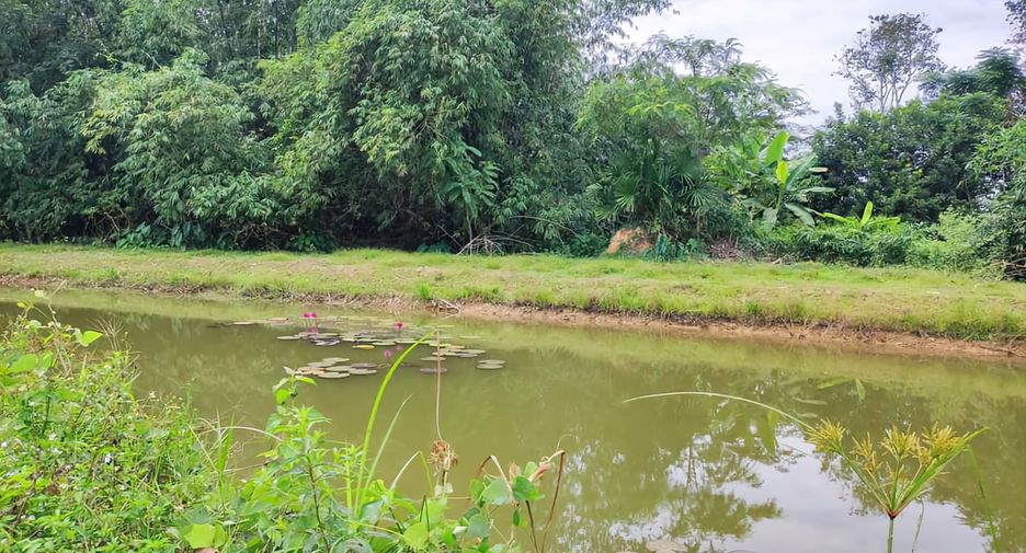 For sale 2 ベッドルーム townhouse in Bang Klam, Songkhla