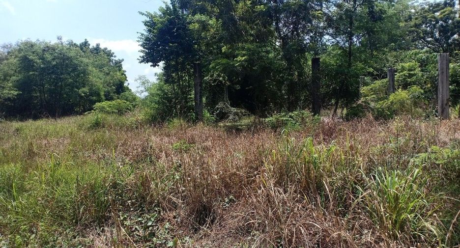ขาย ที่ดิน ใน ศรีมหาโพธิ, ปราจีนบุรี