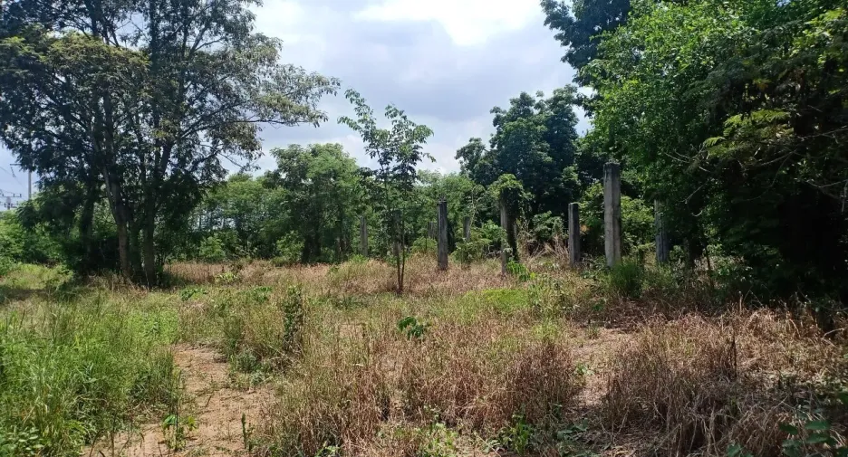 For sale land in Si Maha Phot, Prachin Buri