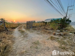出售 土地 在 Fang, Chiang Mai