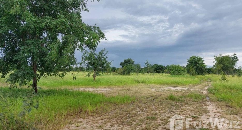 For sale land in Kao Liao, Nakhon Sawan