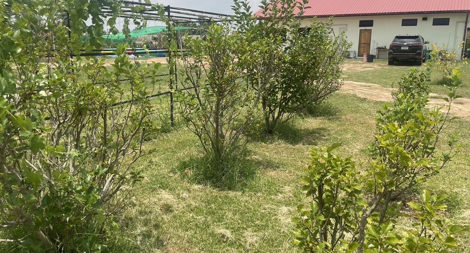 For sale land in Samrong, Ubon Ratchathani