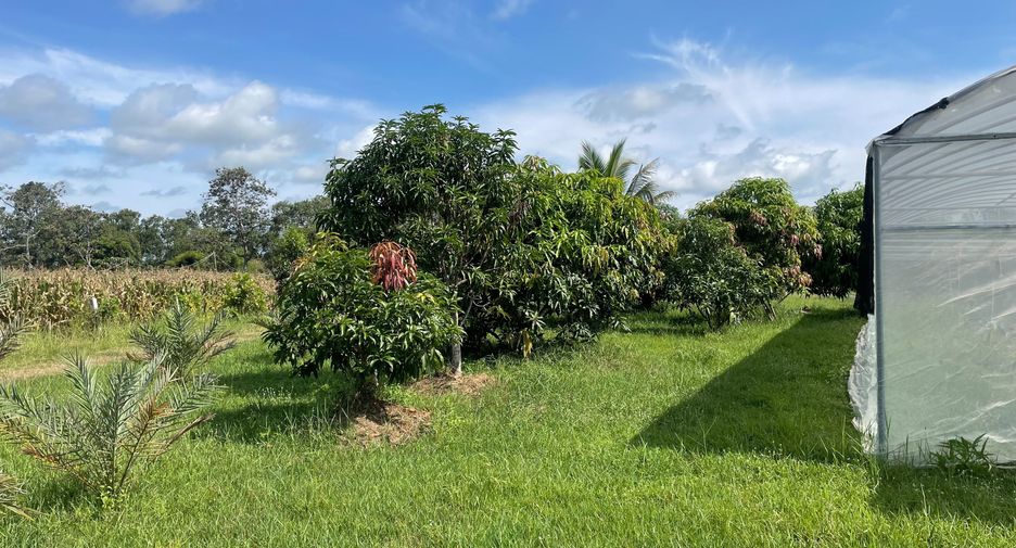 For sale land in Samrong, Ubon Ratchathani