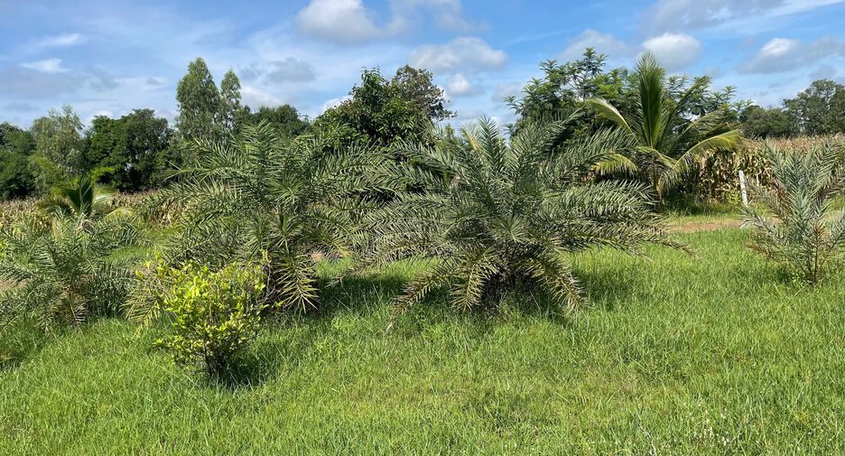 For sale land in Samrong, Ubon Ratchathani