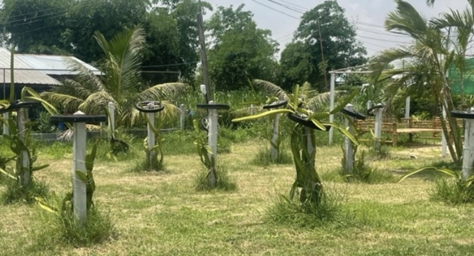 For sale land in Samrong, Ubon Ratchathani