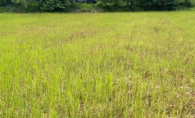 Terreno en venta en Ko Kha, Lampang