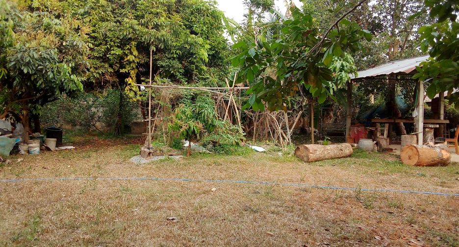 For sale 2 bedrooms house in Chiang Saen, Chiang Rai
