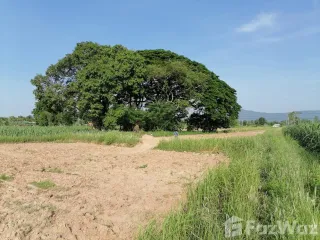 For sale land in Phu Khiao, Chaiyaphum