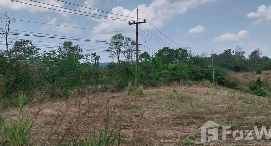For sale land in Nam Nao, Phetchabun