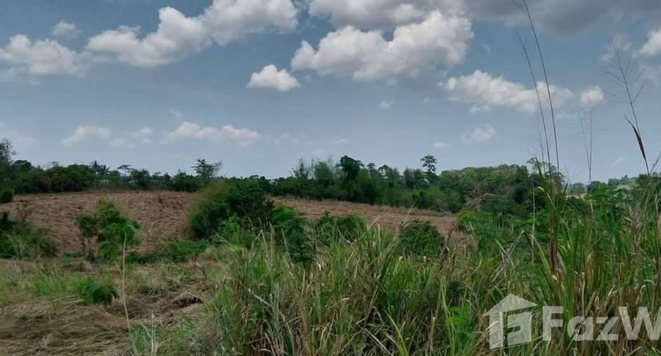 For sale land in Nam Nao, Phetchabun