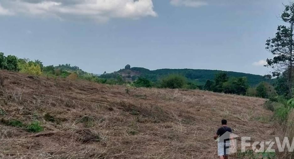 For sale land in Nam Nao, Phetchabun