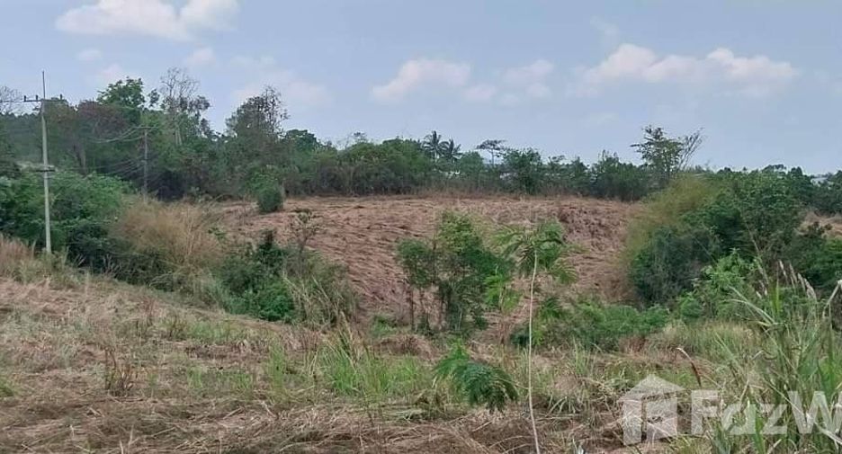 For sale land in Nam Nao, Phetchabun