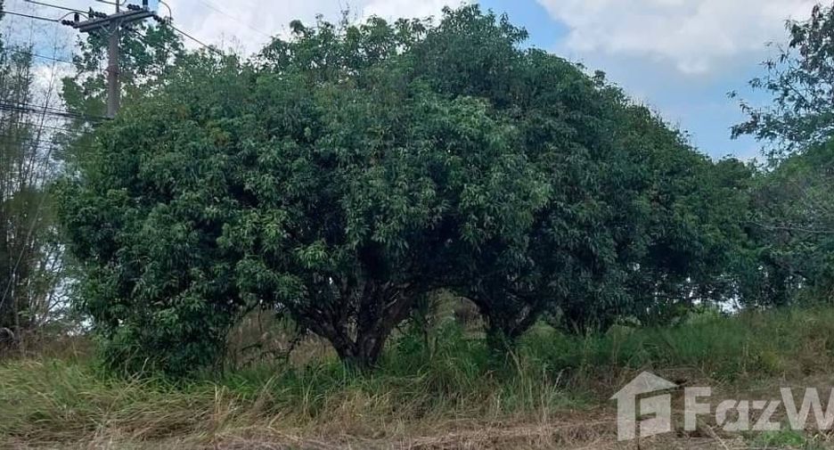 For sale land in Nam Nao, Phetchabun